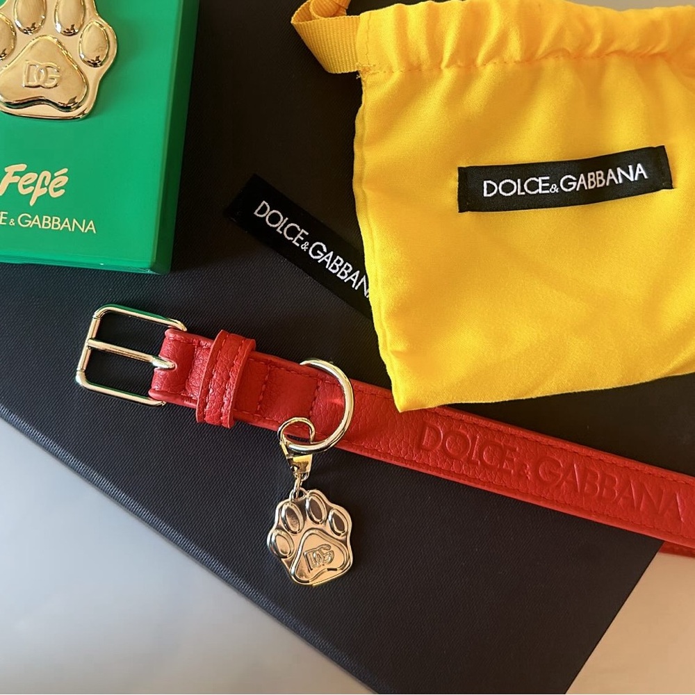Dolce & Gabbana Fefe Collar